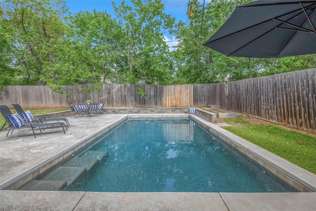 view of swimming pool with a fenced backyard, a fenced in pool, and a patio area