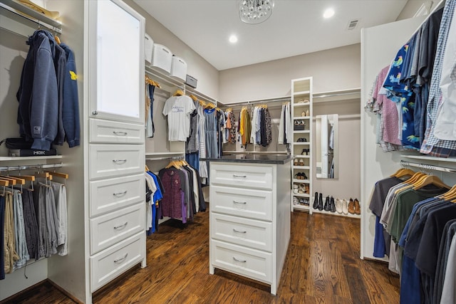 spacious closet featuring visible vents and dark wood-type flooring