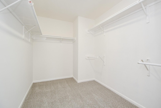 walk in closet featuring carpet