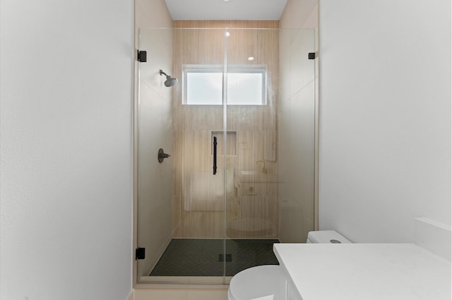 bathroom with vanity, a stall shower, and toilet