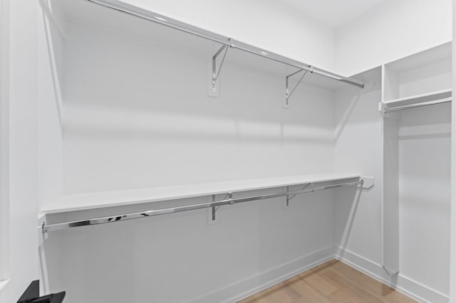spacious closet featuring light wood finished floors
