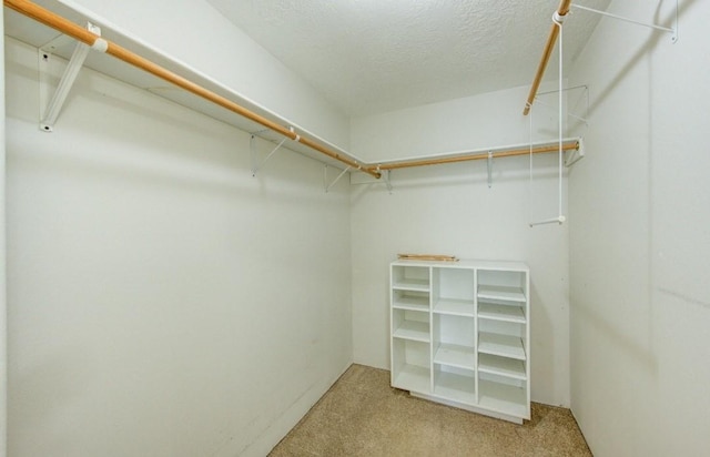 20610 Live Oak Dr, Damon, TX 77430 - spacious closet with carpet flooring