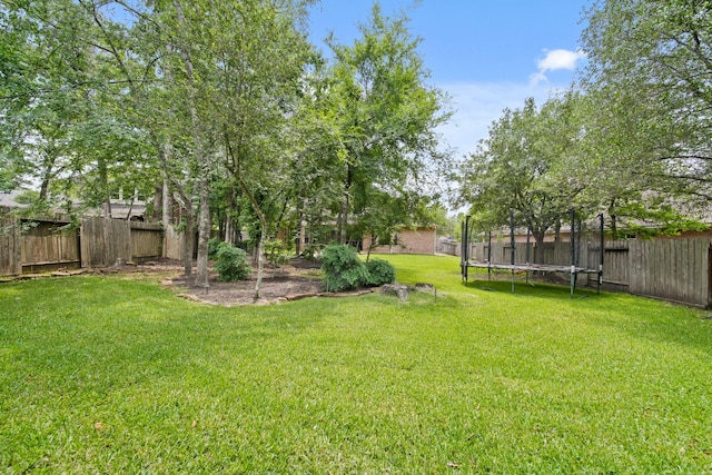 view of yard featuring a fenced backyard and a trampoline