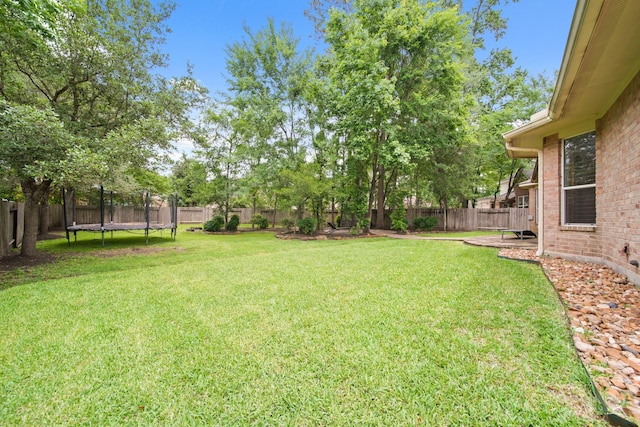 view of yard with a fenced backyard and a trampoline