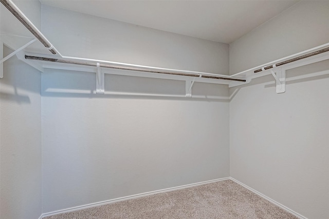 15314 Stulan Burn Dr, Humble, TX 77346 - spacious closet featuring carpet flooring