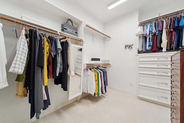walk in closet featuring carpet floors