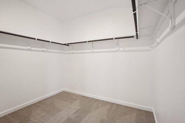 5030 Magnolia Springs Dr, Pearland, TX 77584 - walk in closet featuring carpet flooring