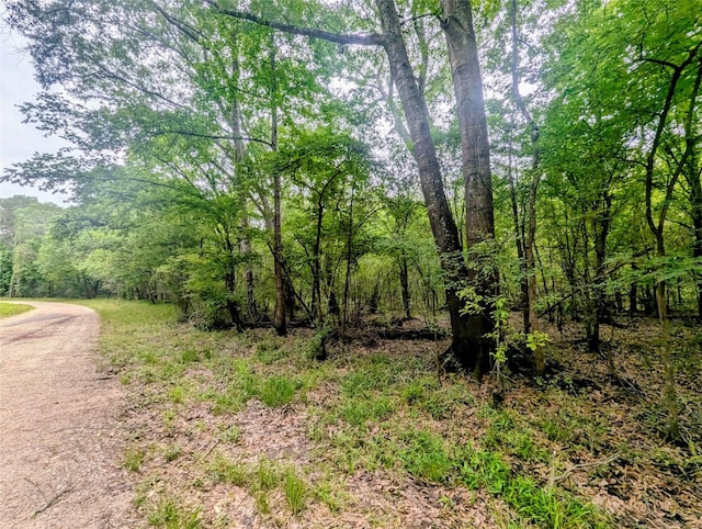 TBD Royal Estates Drive, Conroe, TX 77303 - photo 2