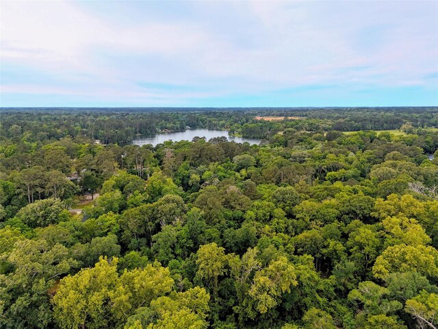 TBD Royal Estates Drive, Conroe, TX 77303 - photo 5