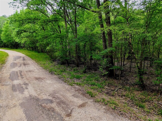TBD Royal Estates Drive, Conroe, TX 77303 - photo 3