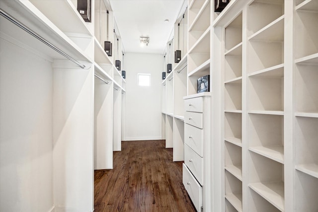 walk in closet with dark wood-type flooring