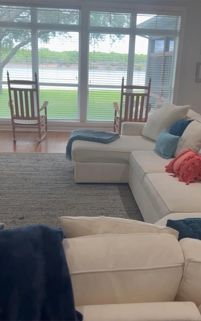 living area with wood finished floors