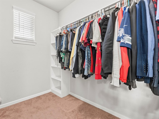 spacious closet featuring carpet