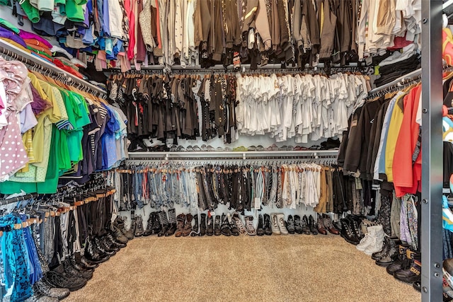 6006 Henry Hamlet Dr, Conroe, TX 77304 - walk in closet featuring carpet