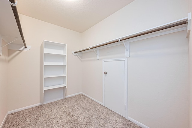 spacious closet featuring carpet floors