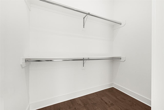 walk in closet with dark wood finished floors