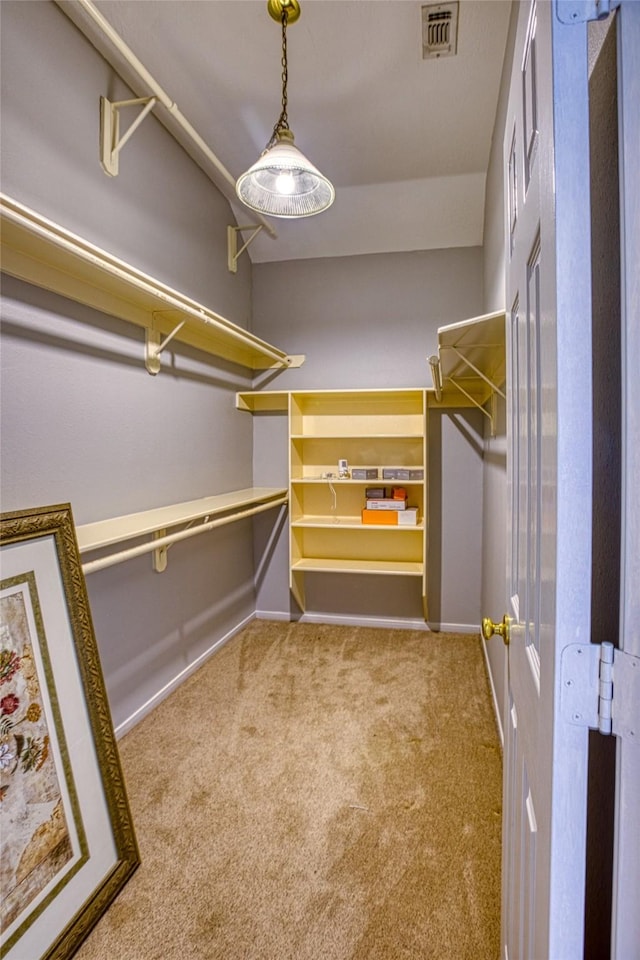 walk in closet featuring carpet floors