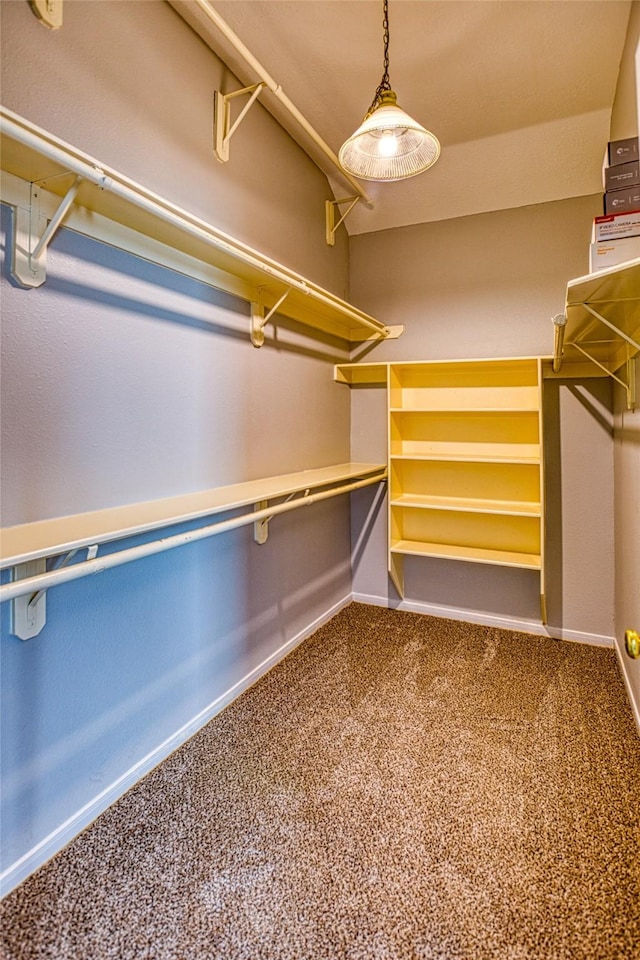 6505 River Glen Ct, Pearland, TX 77584 - spacious closet featuring carpet flooring