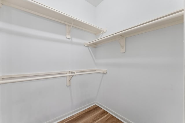 walk in closet featuring wood finished floors