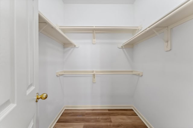 spacious closet with wood finished floors