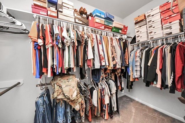 spacious closet featuring carpet floors