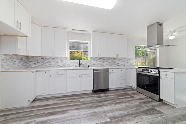 kitchen with stainless steel appliances, a sink, a healthy amount of sunlight, and island range hood