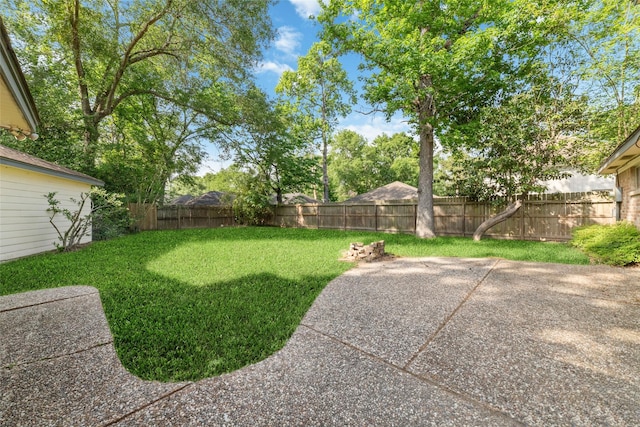 view of yard with a patio and a fenced backyard