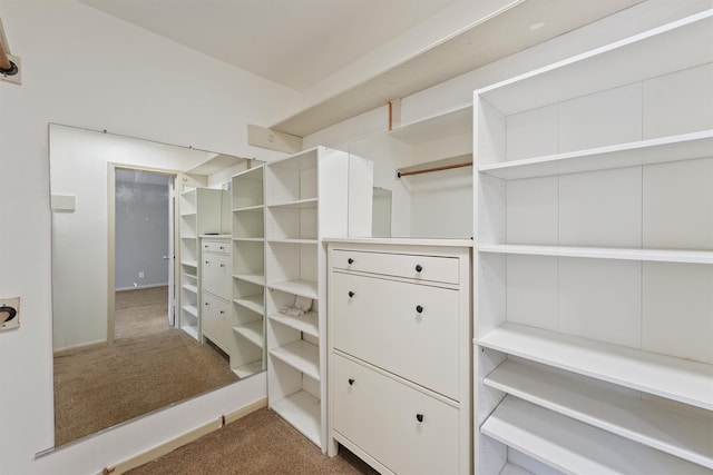 12510 Deep Spring Ln, Houston, TX 77077 - walk in closet featuring carpet floors