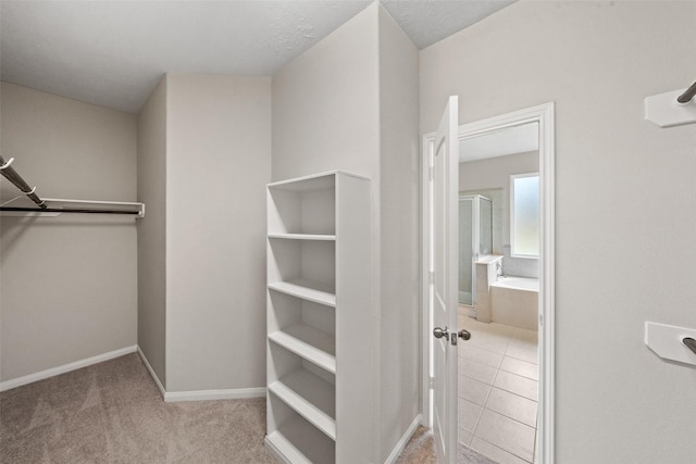 walk in closet with carpet floors