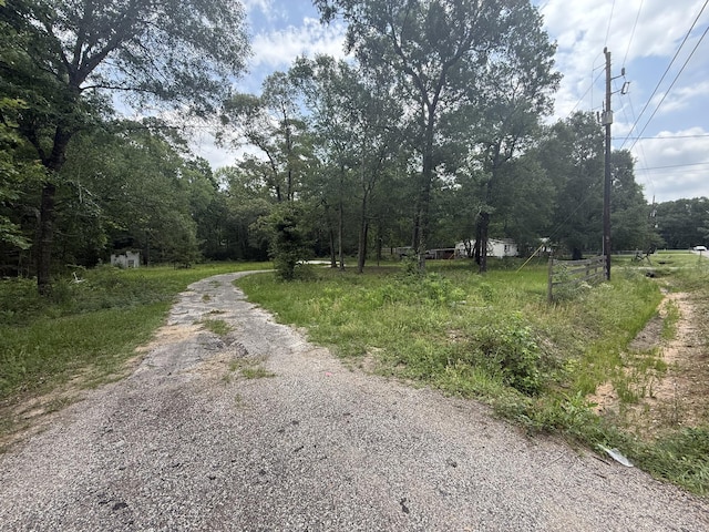 LOT31 Ivy Ct, Magnolia, TX 77354 - photo 1