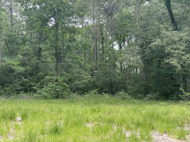 LOT31 Ivy Ct, Magnolia, TX 77354 - photo 4