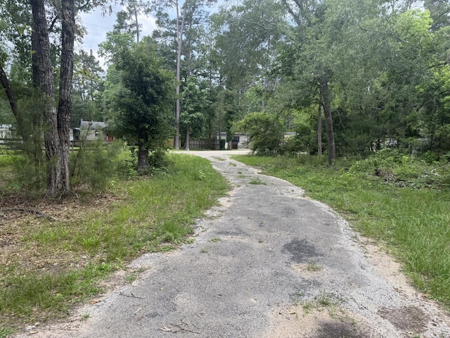 LOT31 Ivy Ct, Magnolia, TX 77354 - photo 5
