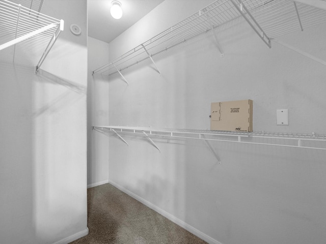 9200 Westheimer Rd Unit 1111, Houston, TX 77063 - walk in closet featuring carpet flooring