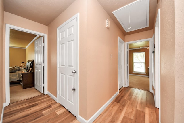 hall with baseboards, attic access, and light wood-style flooring
