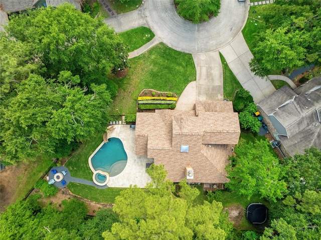bird's eye view