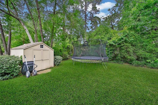 view of yard featuring a trampoline, an outdoor structure, and a shed