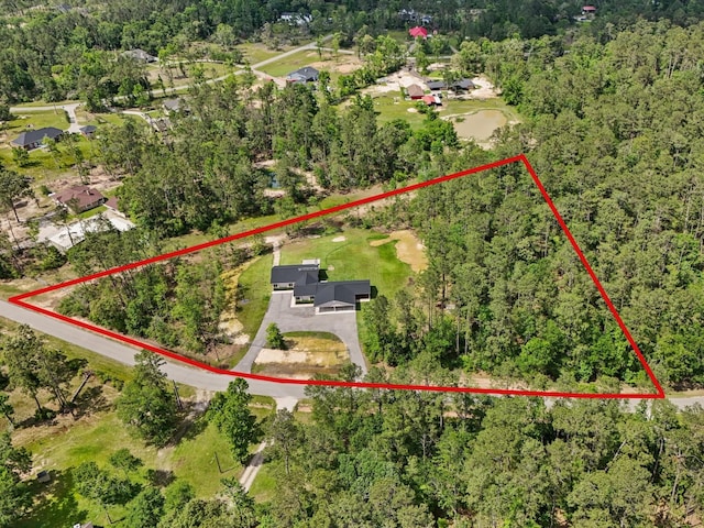 18003 Country Place Dr, Conroe, TX 77302 - photo 3