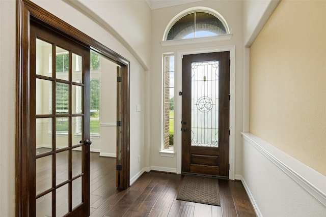 entryway with baseboards, a wealth of natural light, and dark wood-style floors