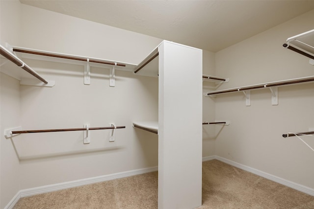 spacious closet featuring carpet