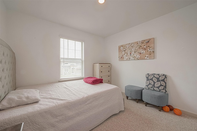 29407 Red Rocks Park Dr, Katy, TX 77494 - bedroom featuring baseboards and carpet
