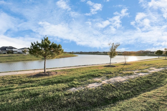 29407 Red Rocks Park Dr, Katy, TX 77494 - property view of water