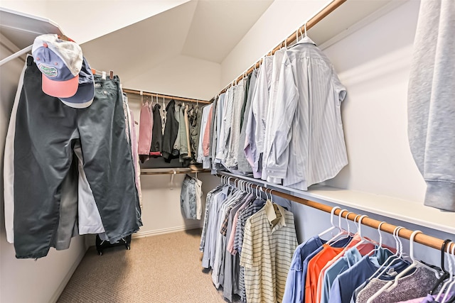 walk in closet with carpet
