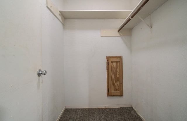 walk in closet with carpet flooring