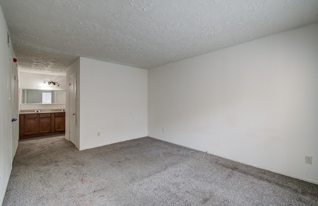 spare room featuring light colored carpet and a textured ceiling
