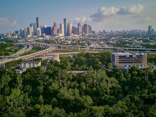 228 E Woodland St, Houston, TX 77009 - city view