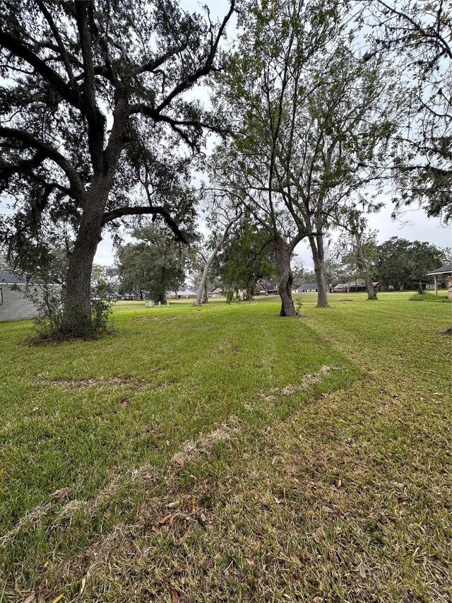252 Woodhaven Dr, West Columbia, TX 77486 - photo 6