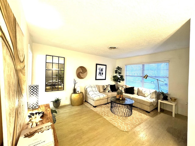 living area featuring wood finished floors and visible vents