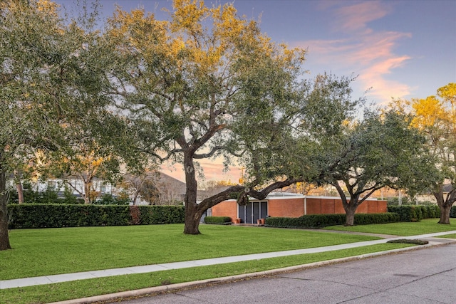 view of front facade with a front lawn