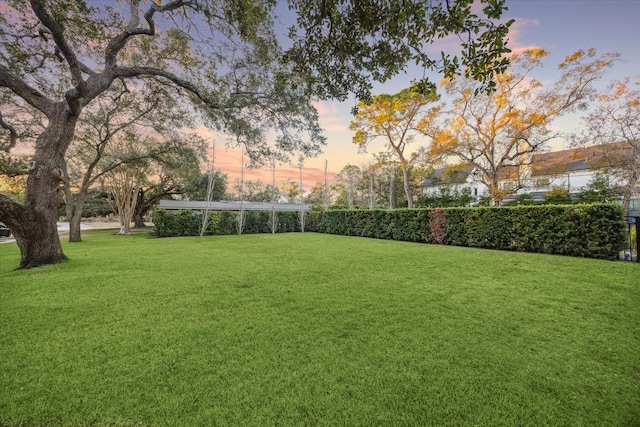 view of yard at dusk