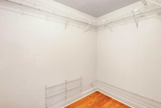 walk in closet with light wood-type flooring